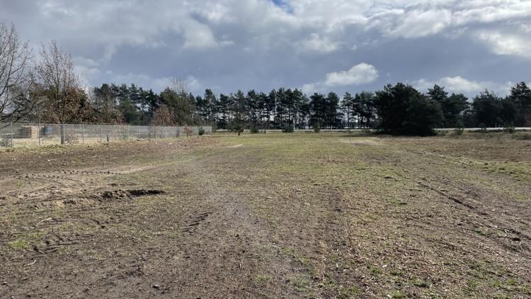 Bauplatz der Moin im Frühjahr 